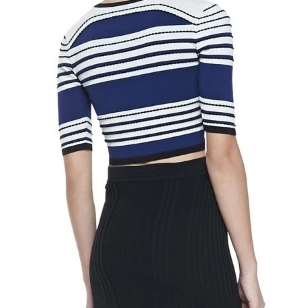 Ohne Titel Navy and White Striped Crop Top